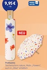 Aktuelles Taschenschirm nature Angebot bei dm-drogerie markt in Oberhausen ab 9,95 €