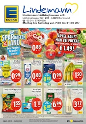 EDEKA Discounter Prospekt der aktuellen Woche mit 24 Seiten, gültig von 20.10.2025 bis 25.10.2025, in Wetter und Umgebung Aktueller EDEKA Discounter Prospekt in Wetter und Umgebung, "Aktuelle Angebote" mit 24 Seiten, 20.10.2025 - 25.10.2025