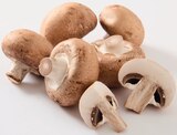 Champignon Brun à Supermarchés Match dans Saint-André-lez-Lille