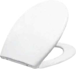 WC-Sitz Tiago Angebote von Primaster bei Globus-Baumarkt Bergkamen für 39,50 €