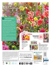 Promos Bulbes à fleurs dans le catalogue "ENSEMBLE, JARDINONS RESPONSABLE" de Truffaut à la page 20