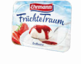 Aktuelles Früchte-, Vanille- oder Grießtraum Angebot bei Netto Marken-Discount in Wuppertal ab 0,44 €