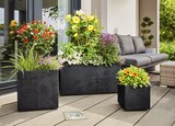 Angebot im Hagebaumarkt Ratingen Prospekt Hagebaumarkt Ratingen Prospekt mit im Angebot für 19,99 €