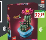 Blühender Kaktus Angebote von LEGO bei Marktkauf Menden für 22,99 €
