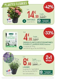 Offre Laurier Rose dans le catalogue Botanic du moment à la page 6