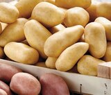 Intermarché Hyper La Teste-de-Buch - Promo Pommes de terre de consommation à chair ferme Promo Pommes de terre de consommation à chair ferme à 1,69 € dans le catalogue Intermarché Hyper à La Teste-de-Buch