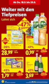 Windeln im Lidl Prospekt in Haltern am See Aktueller Lidl Prospekt mit Windeln, "LIDL LOHNT SICH", Seite 62
