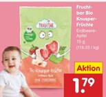 Fruchtbar Bio Knusper-Früchte Erdbeere-Apfel Angebote bei Netto Marken-Discount Celle für 1,79 €