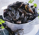 Moule de Bouchot - BAIE DE SAINT BRIEUC - Intermarché Super à Saint-Nazaire Moule de Bouchot - BAIE DE SAINT BRIEUC en promo chez Intermarché Super Saint-Nazaire à 3,99 €