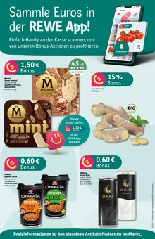 REWE Prospekt Hellenthal "Dein Markt" mit 30 Seiten