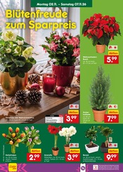 Ähnliche Eibe Angebote im Prospekt "Aktuelle Angebote" von Netto Marken-Discount in Fürth Ähnliche Angebote wie Eibe im Prospekt "Aktuelle Angebote" auf Seite 14 von Netto Marken-Discount in Fürth