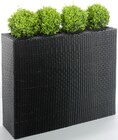Aktuelle Blumentopf Angebote bei METRO in Halle (Saale) Aktuelles Raumtrenner Barbados Angebot bei METRO in Halle (Saale) ab 83,29 €