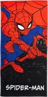 Jungen Cap, Jungen Fischerhut, Jungen Badeshorts, Jungen Badeponcho, Jungen Strandtuch im Angebot bei REWE in Jena Jungen Cap, Jungen Fischerhut, Jungen Badeshorts, Jungen Badeponcho, Jungen Strandtuch Angebote von MARVEL SPIDER-MAN bei REWE Jena für 4,99 €