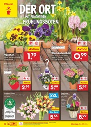 Garten Angebot im aktuellen Netto Marken-Discount Prospekt auf Seite 22