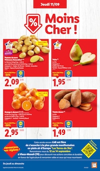 Promotion Pomme dans le prospectus Lidl, valable du 11/09/2025 au 17/09/2025 Promo Pomme dans le catalogue Lidl du moment à la page 3