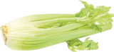 Stangensellerie von  im aktuellen V-Markt Prospekt für 0,99 €