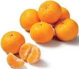 Promo Mandarine à 1,79 € dans le catalogue Lidl à Eyrans