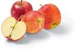 Äpfel rot im Angebot bei Netto Marken-Discount in Görlitz Äpfel rot Angebote von HEIMAT bei Netto Marken-Discount Görlitz für 1,49 €