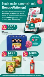 Fertiggerichte Angebot im aktuellen REWE Prospekt auf Seite 4