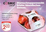 Tafeläpfel Cosmic Crisp im Angebot bei GLOBUS in Erlangen Tafeläpfel Cosmic Crisp Angebote bei GLOBUS Erlangen für 2,22 €