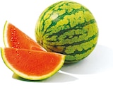 Wassermelone kernarm im Netto mit dem Scottie Prospekt Wassermelone kernarm im aktuellen Netto mit dem Scottie Prospekt für 4,99 €