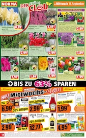 Ähnliches Angebot bei Norma in Prospekt "Mehr fürs Geld" gefunden auf Seite 14