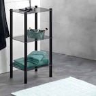 Regal Lars im aktuellen Zurbrüggen Prospekt