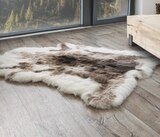 Kunst Rentierfell im Möbel Inhofer Prospekt Kunst Rentierfell von  im aktuellen Möbel Inhofer Prospekt für 49,00 €
