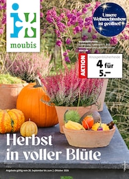 Der aktuelle Moubis Pflanzenhof Prospekt Der aktuelle Moubis Pflanzenhof Prospekt Herbst in voller Blüte