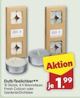 Aktuelles Duft-Teelichter Angebot bei famila Nordwest in Oldenburg ab 1,99 €