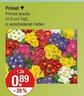 Primel Angebote bei V-Markt München für 0,89 €