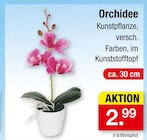 Aktuelle Orchidee Angebote bei Zimmermann in Bremen Aktuelles Orchidee Angebot bei Zimmermann in Bremen ab 2,99 €