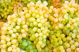 Promo Raisins blancs 'Victoria' à 1,99 € dans le catalogue Norma à Mulhouse