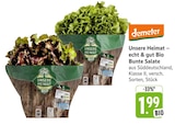 EDEKA Großbettlingen - Unsere Heimat – echt & gut Bio Bunte Salate Angebot im Prospekt Unsere Heimat – echt & gut Bio Bunte Salate bei EDEKA im Großbettlingen Prospekt für 1,99 €