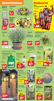 Gartenerde im Thomas Philipps Prospekt "Top Angebote" mit 13 Seiten (Dortmund)