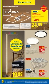 Deckenleuchten Angebote im Prospekt "LIDL LOHNT SICH" von Lidl Deckenleuchten Angebote im Prospekt "LIDL LOHNT SICH" von Lidl auf Seite 32