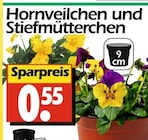 Hornveilchen und Stiefmütterchen bei Wreesmann im Prospekt "" für 0,55 €