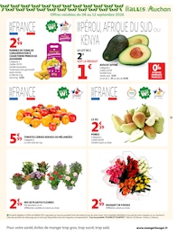 Prix et réduction Tomate Cerise dans le prospectus Auchan Hypermarché en cours Offre Tomate Cerise dans le catalogue Auchan Hypermarché du moment à la page 35