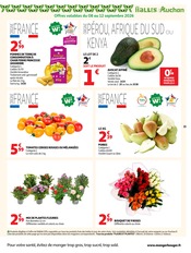 Promos Fleurs d'extérieur dans le catalogue "LE GRAND MÉNAGE DE RENTRÉE" de Auchan Hypermarché à la page 35 Promos Fleurs d'extérieur dans le catalogue "LE GRAND MÉNAGE DE RENTRÉE" de Auchan Hypermarché à la page 35