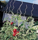 Tuteur spirale pour tomates dans le catalogue Weldom