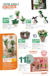 Prix et réduction Panier dans le prospectus Jardiland en cours Offre Panier dans le catalogue Jardiland du moment à la page 9