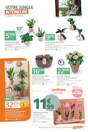 Orchidée en promo dans le catalogue Jardiland à la page 9