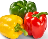 Paprika-Mix im Angebot bei Penny in Remscheid Paprika-Mix Angebote von Marktliebe bei Penny Remscheid für 1,69 €