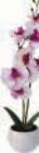 Aktuelles Dekopflanze Orchidee Angebot bei Möbel AS in Mannheim ab 4,95 €