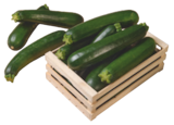 Zucchini bei tegut im Prospekt "" für 1,49 €