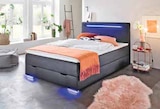 Boxspringbett Las Vegas II im Segmüller Prospekt Boxspringbett Las Vegas II im aktuellen Segmüller Prospekt für 649,00 €
