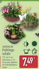 Frühlingsschale von Gardenline für 7,49 € bei ALDI Nord im Angebot Frühlingsschale von Gardenline im aktuellen ALDI Nord Prospekt