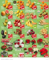Aktueller Kaufland Prospekt mit Chrysantheme, "Aktuelle Angebote", Seite 7
