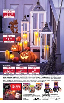 Kürbis im aktuellen Dehner Garten-Center Prospekt (Darmstadt) Kürbis im Dehner Garten-Center Prospekt "ZAUBERHAFTER HERBST" mit 16 Seiten (Darmstadt)