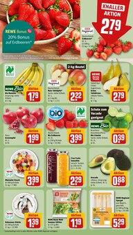 Äpfel im REWE Prospekt "Dein Markt" mit 16 Seiten (Regensburg)